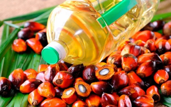 Womit ist das Palmöl mit hohem Ölsäuregehalt nützlich?